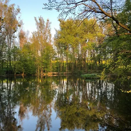 Alte Brennerei Schloss Zehista Eg Rittersporn Pirna Buitenkant foto