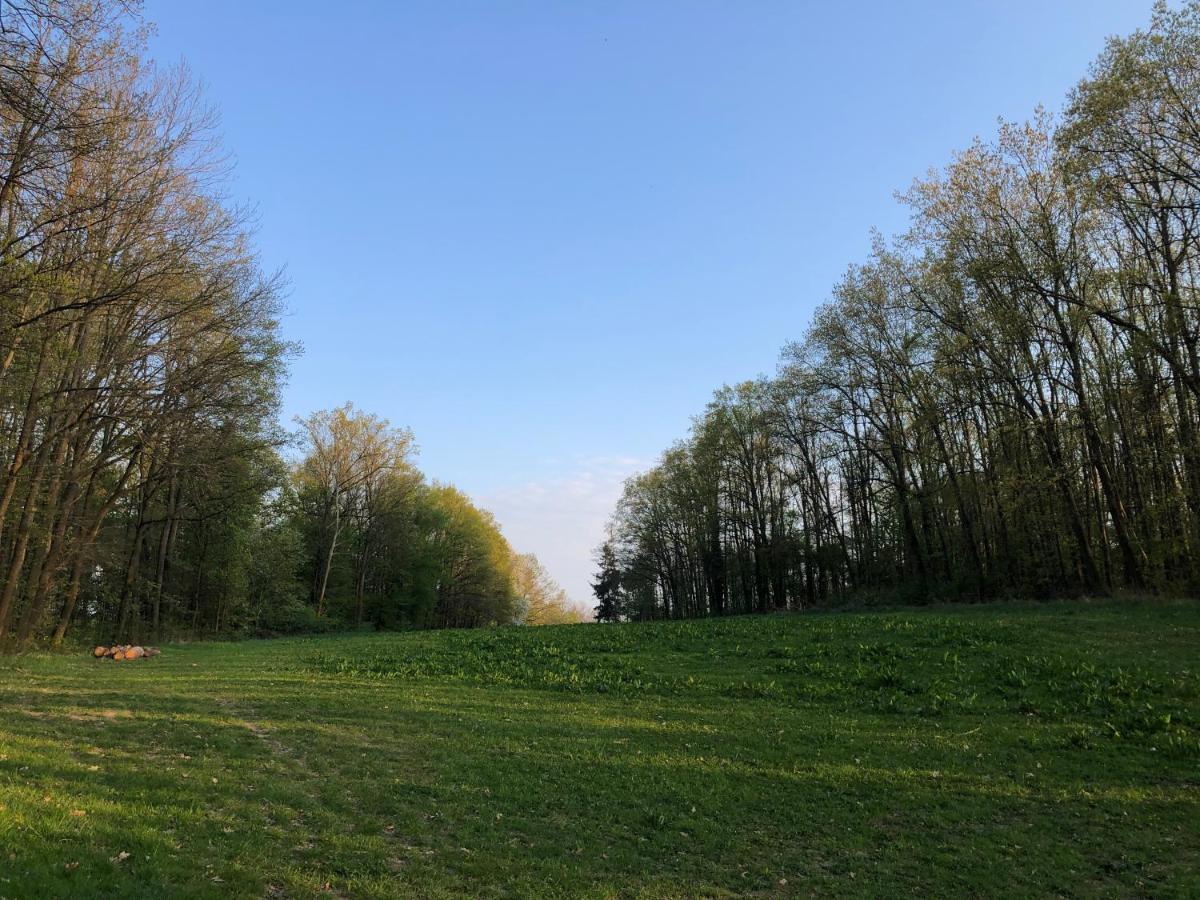 Alte Brennerei Schloss Zehista Eg Rittersporn Pirna